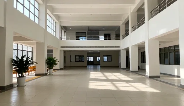 官网网站建设的适用边界:哪些场景适合哪些场景受限