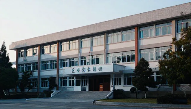哪个公司建设网站?企业推广如何选择专业团队